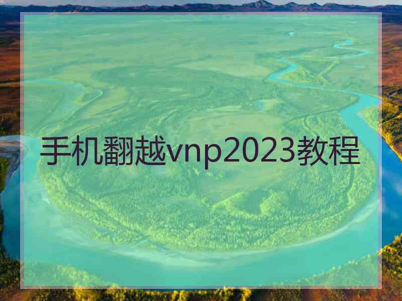 手机翻越vnp2023教程