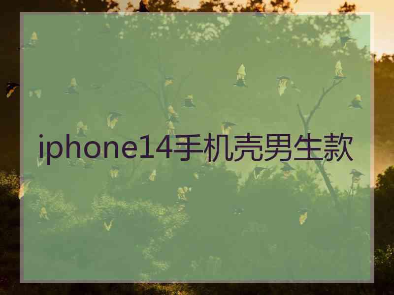 iphone14手机壳男生款