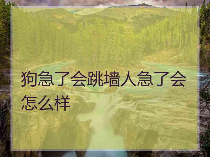 狗急了会跳墙人急了会怎么样