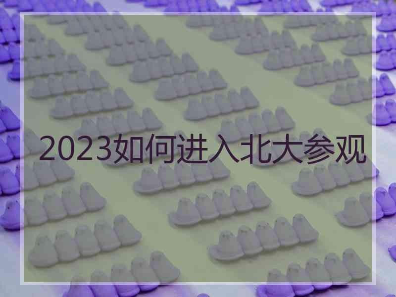 2023如何进入北大参观