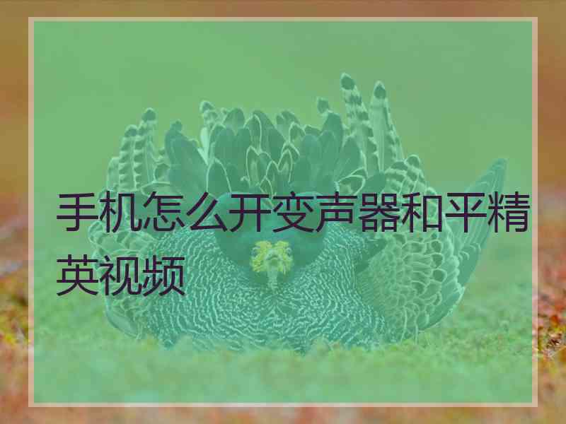 手机怎么开变声器和平精英视频