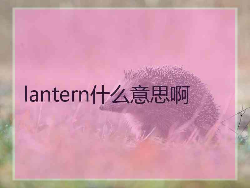 lantern什么意思啊