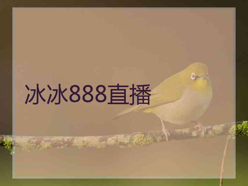 冰冰888直播