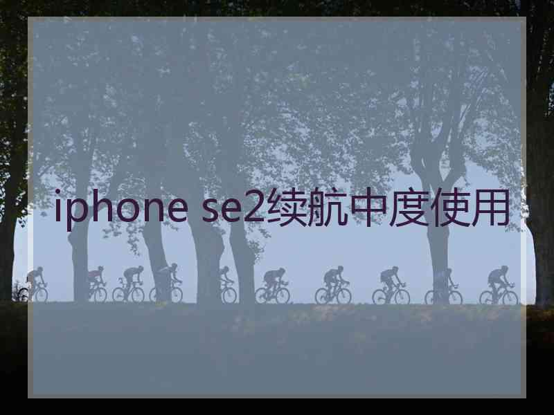 iphone se2续航中度使用