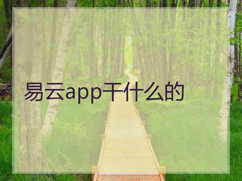 易云app干什么的