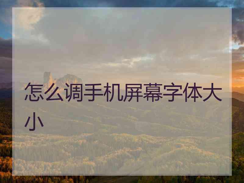 怎么调手机屏幕字体大小