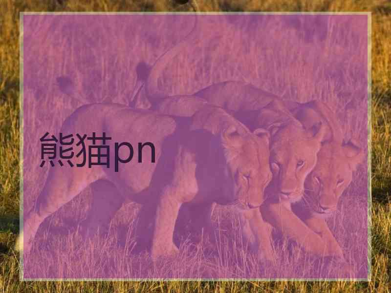 熊猫pn