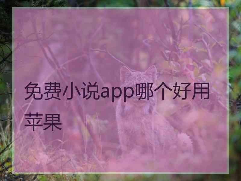 免费小说app哪个好用苹果