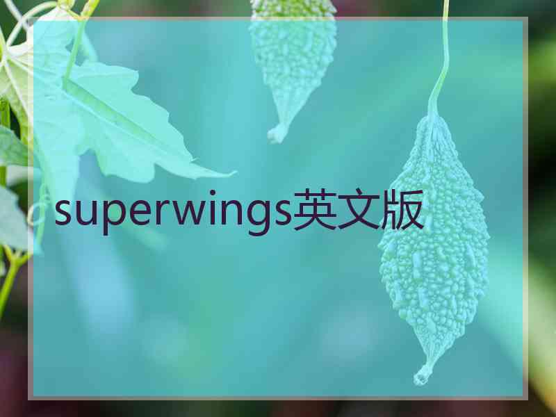 superwings英文版