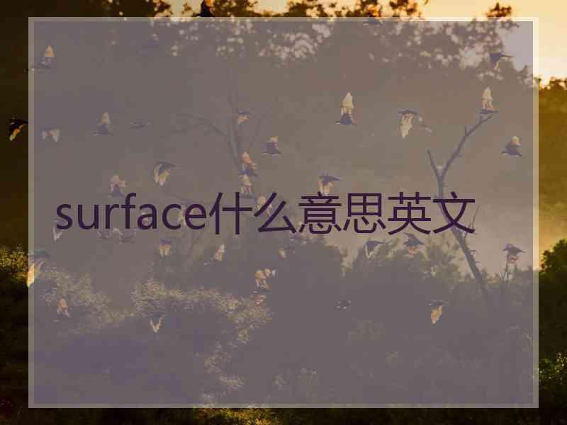 surface什么意思英文