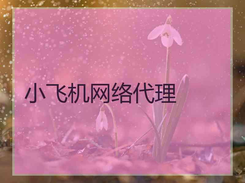 小飞机网络代理