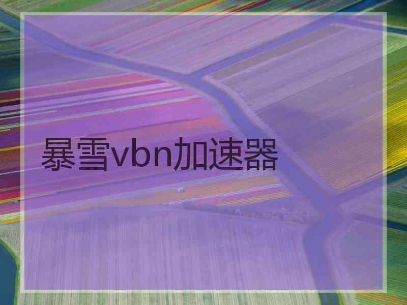 暴雪vbn加速器