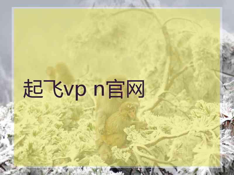 起飞vp n官网