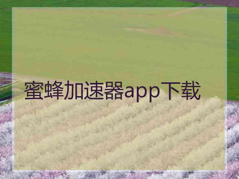 蜜蜂加速器app下载