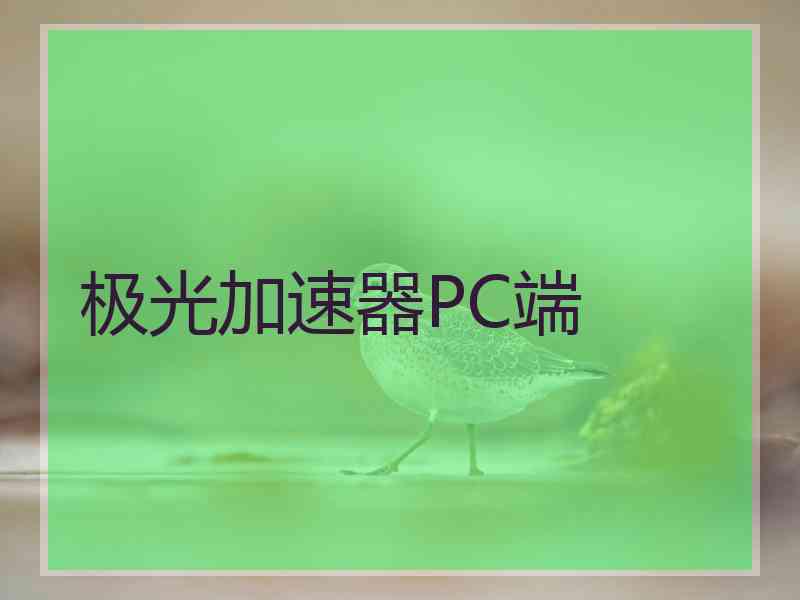 极光加速器PC端