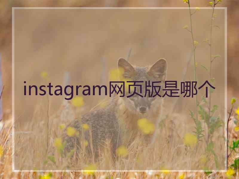 instagram网页版是哪个