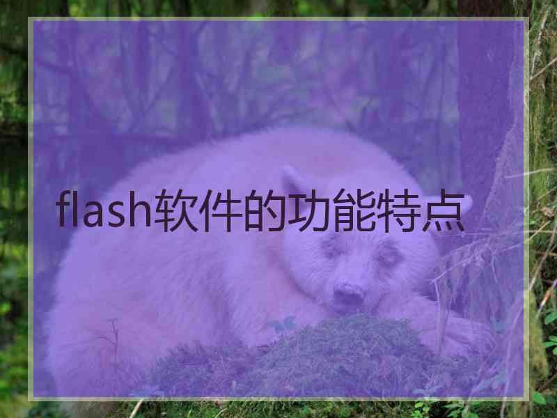 flash软件的功能特点