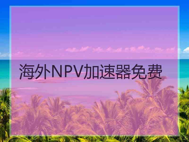 海外NPV加速器免费