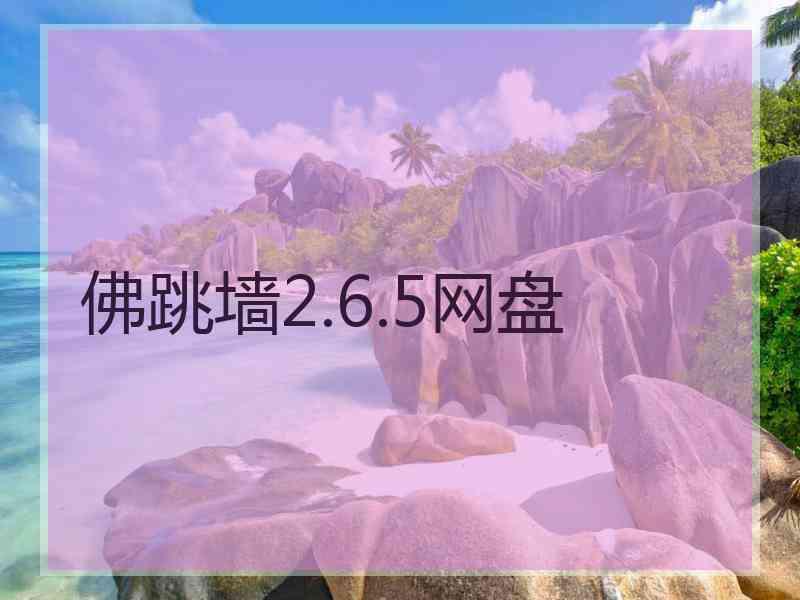 佛跳墙2.6.5网盘