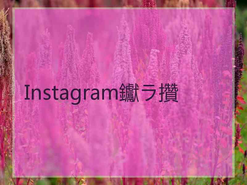 Instagram钀ラ攢