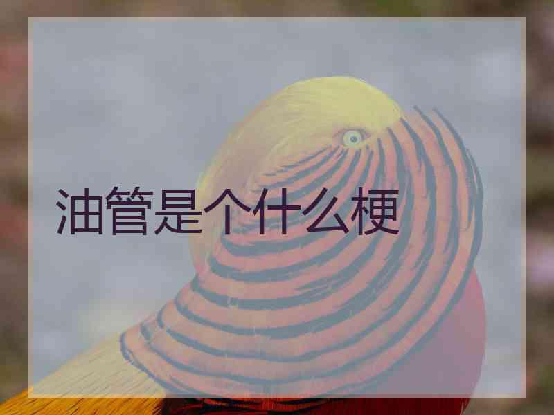 油管是个什么梗