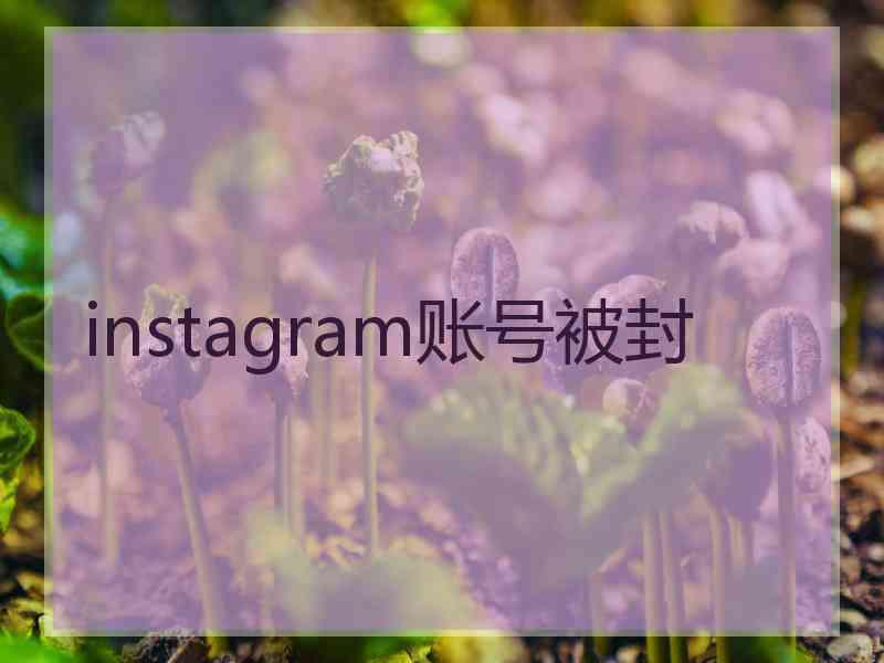 instagram账号被封