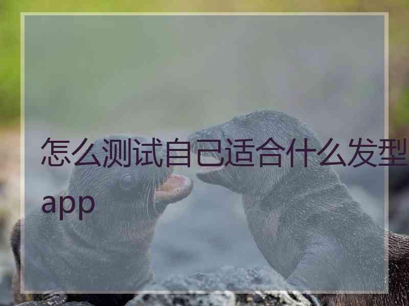 怎么测试自己适合什么发型app