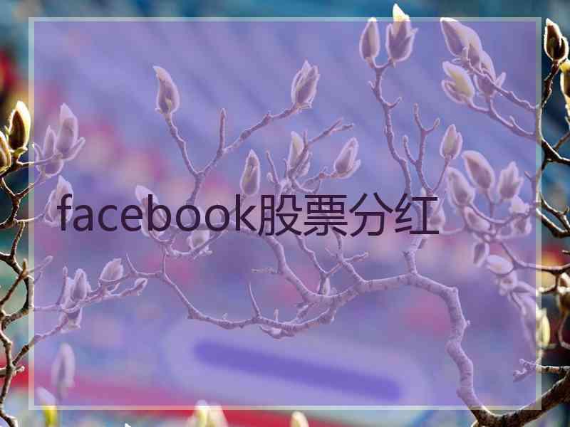 facebook股票分红