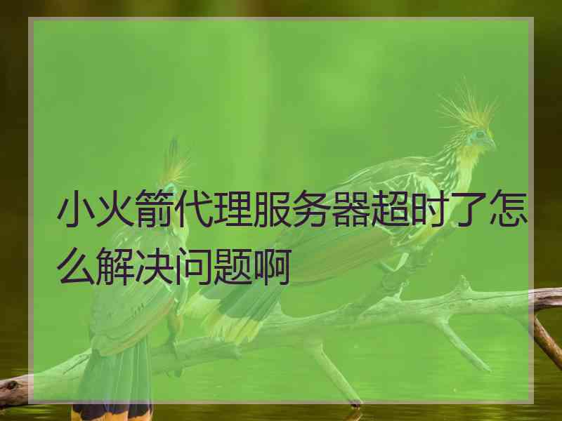 小火箭代理服务器超时了怎么解决问题啊