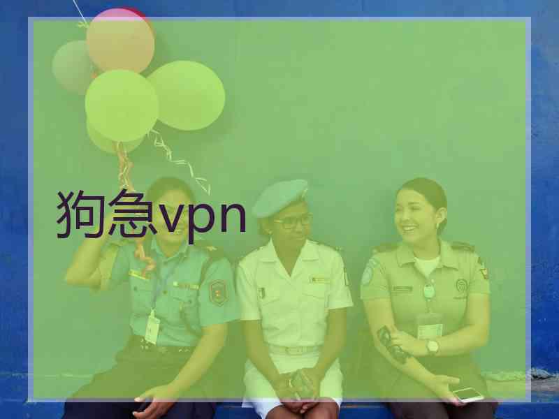 狗急vpn