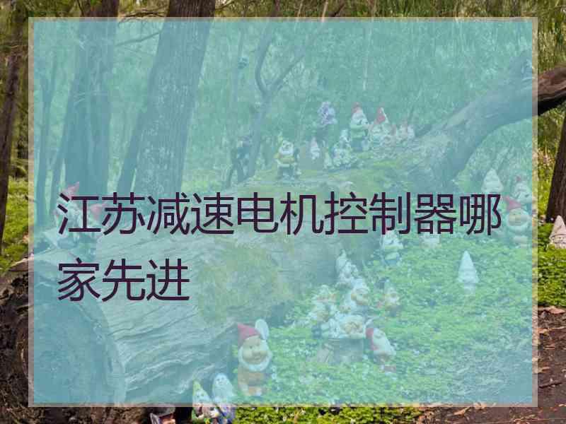 江苏减速电机控制器哪家先进