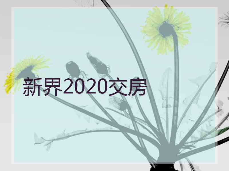 新界2020交房