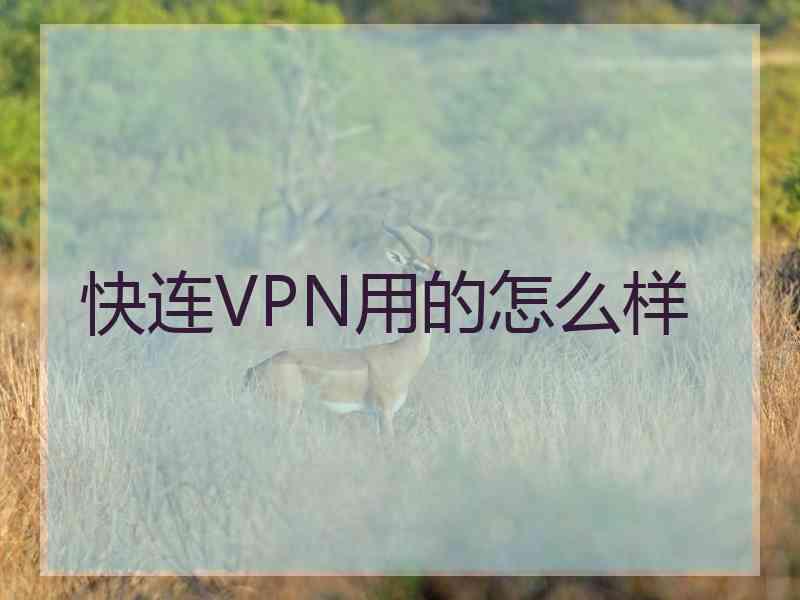 快连VPN用的怎么样