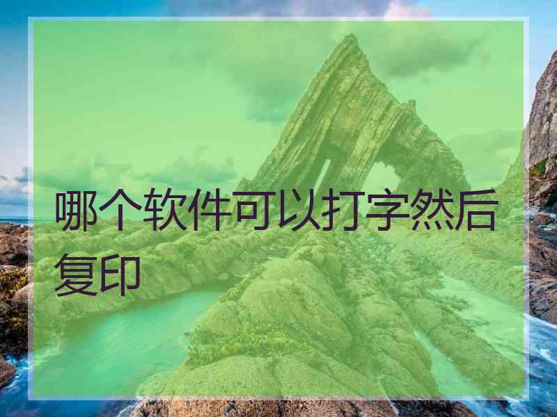 哪个软件可以打字然后复印