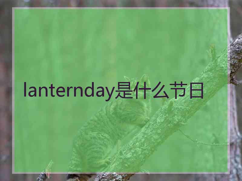 lanternday是什么节日