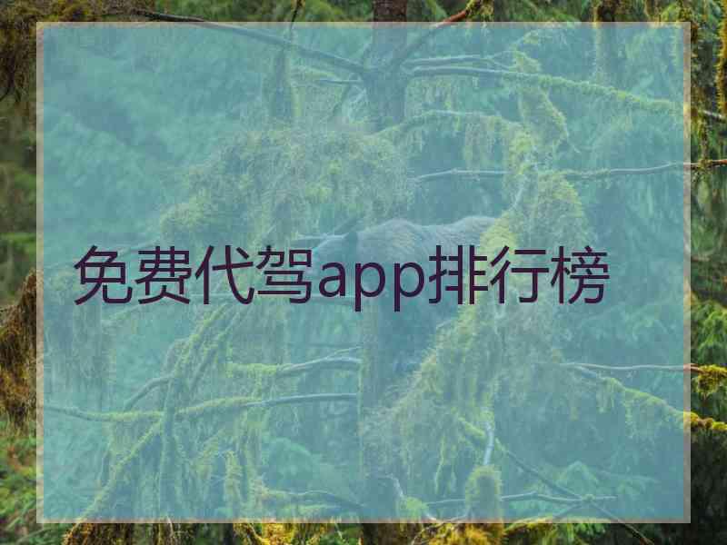 免费代驾app排行榜