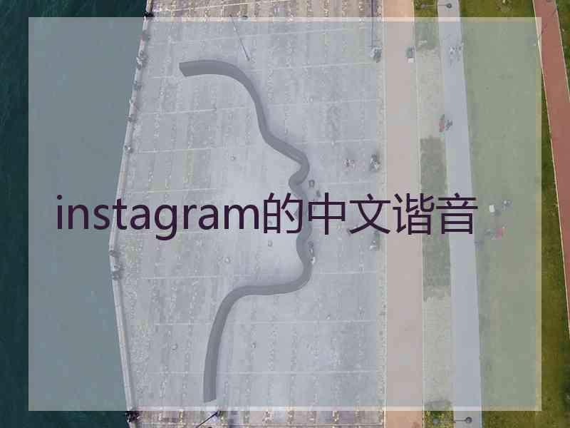 instagram的中文谐音