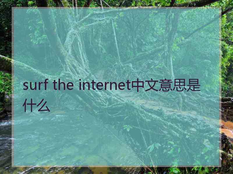 surf the internet中文意思是什么