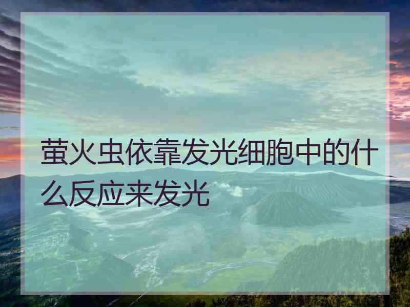 萤火虫依靠发光细胞中的什么反应来发光 