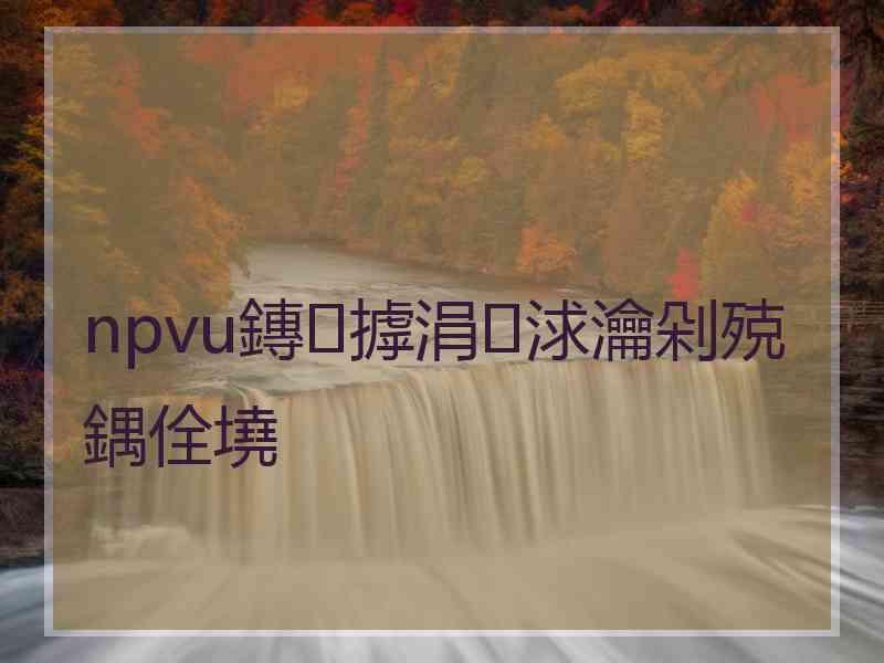 npvu鏄摢涓浗瀹剁殑鍝佺墝