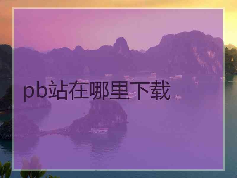 pb站在哪里下载