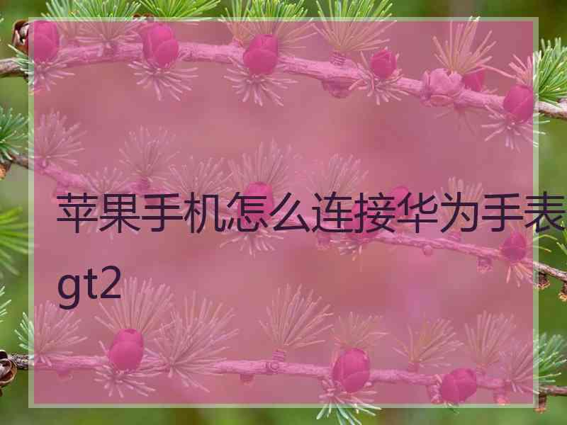 苹果手机怎么连接华为手表gt2