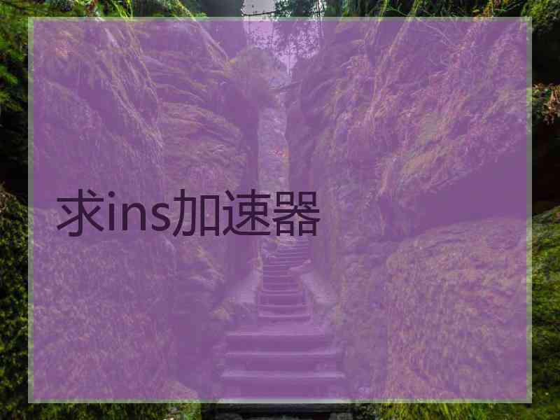 求ins加速器