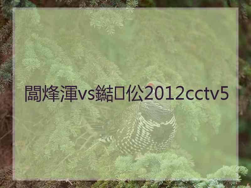 闆烽渾vs鐑伀2012cctv5