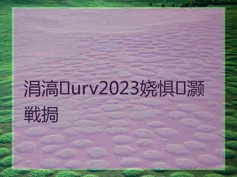 涓滈urv2023娆惧灏戦挶