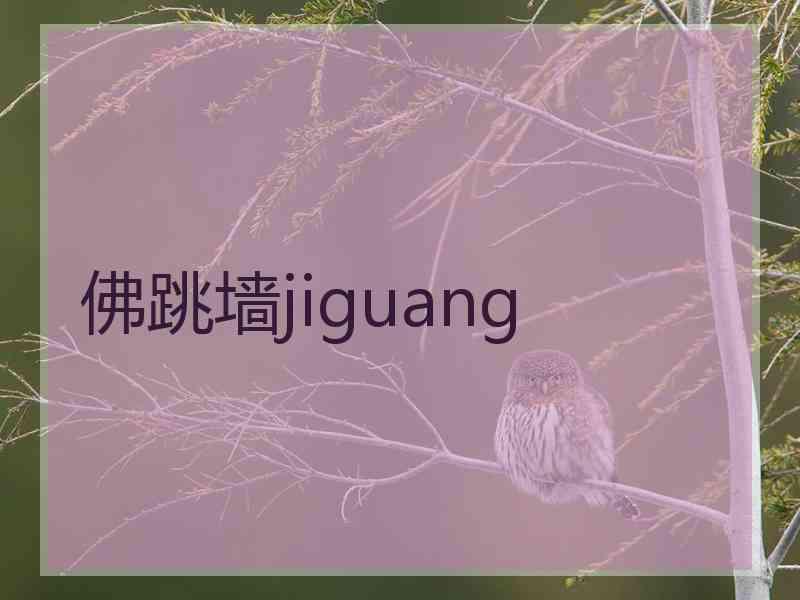 佛跳墙jiguang