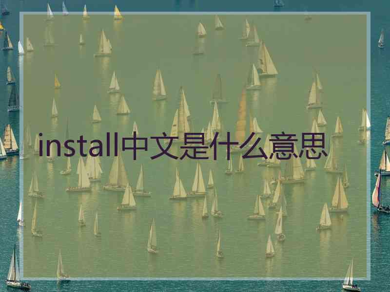 install中文是什么意思