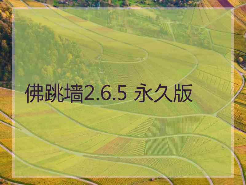 佛跳墙2.6.5 永久版