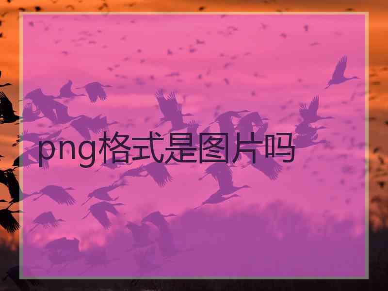 png格式是图片吗