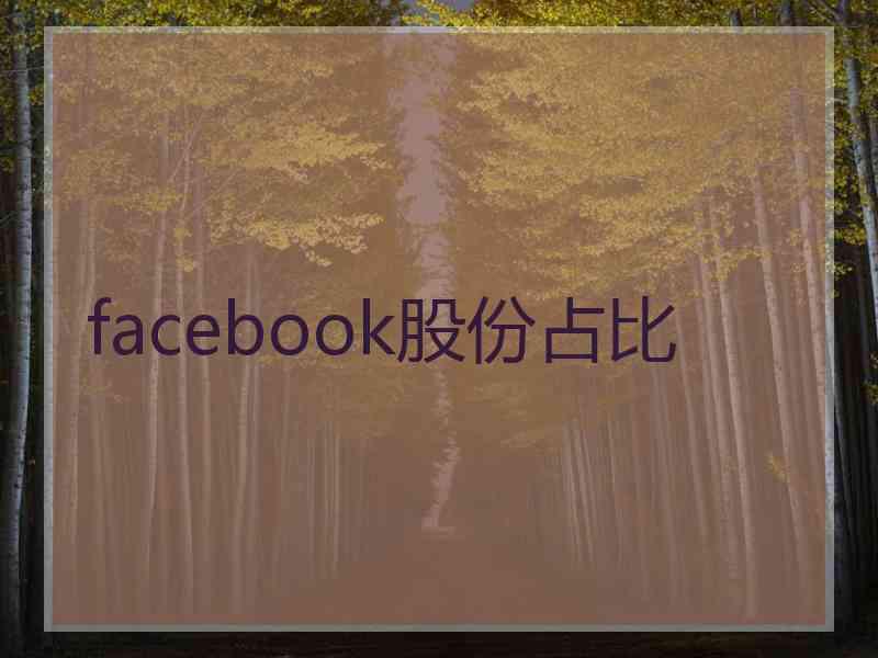 facebook股份占比